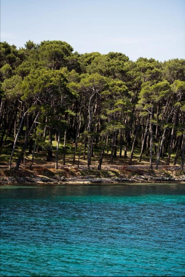 Apartments Marlen Mali Lošinj Dış mekan fotoğraf